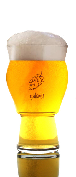 Four (4) Pack of Ultimate Pint Glasses - Printed & Etched in USA - 4 Individually Labeled with Unique Hops Beer Glass Gift Box Set