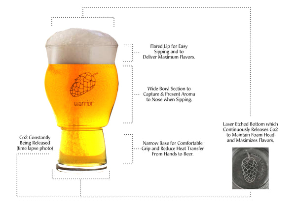 Four (4) Pack of Ultimate Pint Glasses - Printed & Etched in USA - 4 Individually Labeled with Unique Hops Beer Glass Gift Box Set