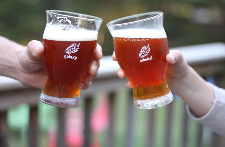 Best Craft Beer Glasses For A Perfect Christmas Gift