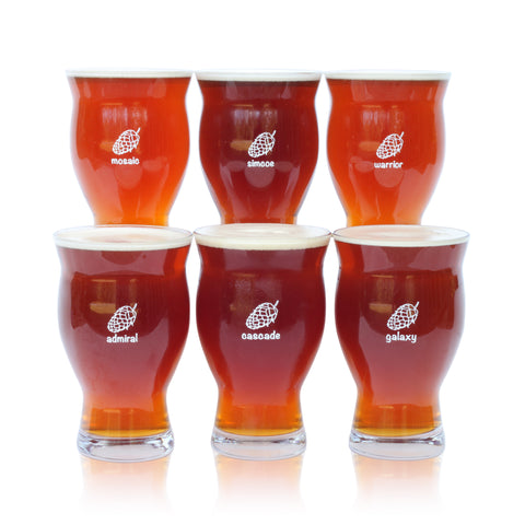 Beer Can Pint Glasses, Set of 4 by True, Pack of 1 - Harris Teeter